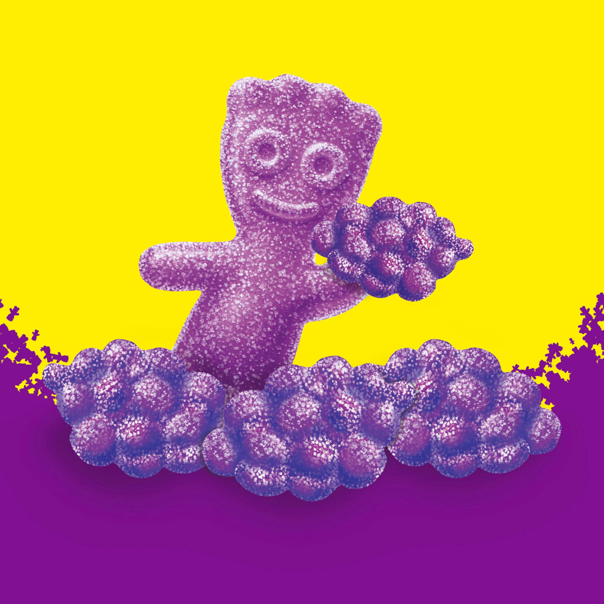 Grape Soft & Chewy Gummy Candy by Sour Patch Kids – 8 Ounce (Pack of 12), Grape, Pack of 12
