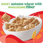 Autumn Wheat Breakfast Cereal 18oz by Kashi – 18 Ounce (Pack of 1), No Color, Model 00018627116127