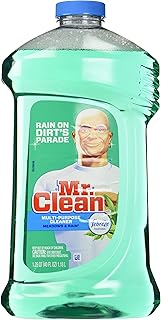 Mr. Clean 40 Ounce