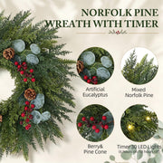 Worthyeah Norfolk Pine Wreath, 24 Inch Illuminated, Christmas