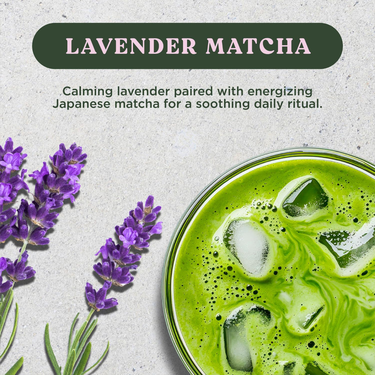 Hazelnut Frappe & Latte Instant Mix (20 Sticks) - The Harmony Matcha Lavender (10 Sticks) by The Frozen Bean – 1 Count (Pack of 30)