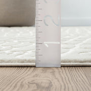 Abani 5' x 8' (Rectangular) / Cream / Modern Area Rugs