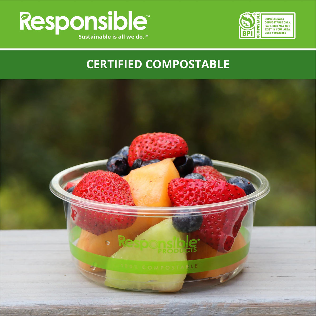 12 oz Clear Round Deli Container by Responsible Products – 12 oz, 12.0 fluid_ounces, Other, Clear, Model RP-PLARDC12-117-500