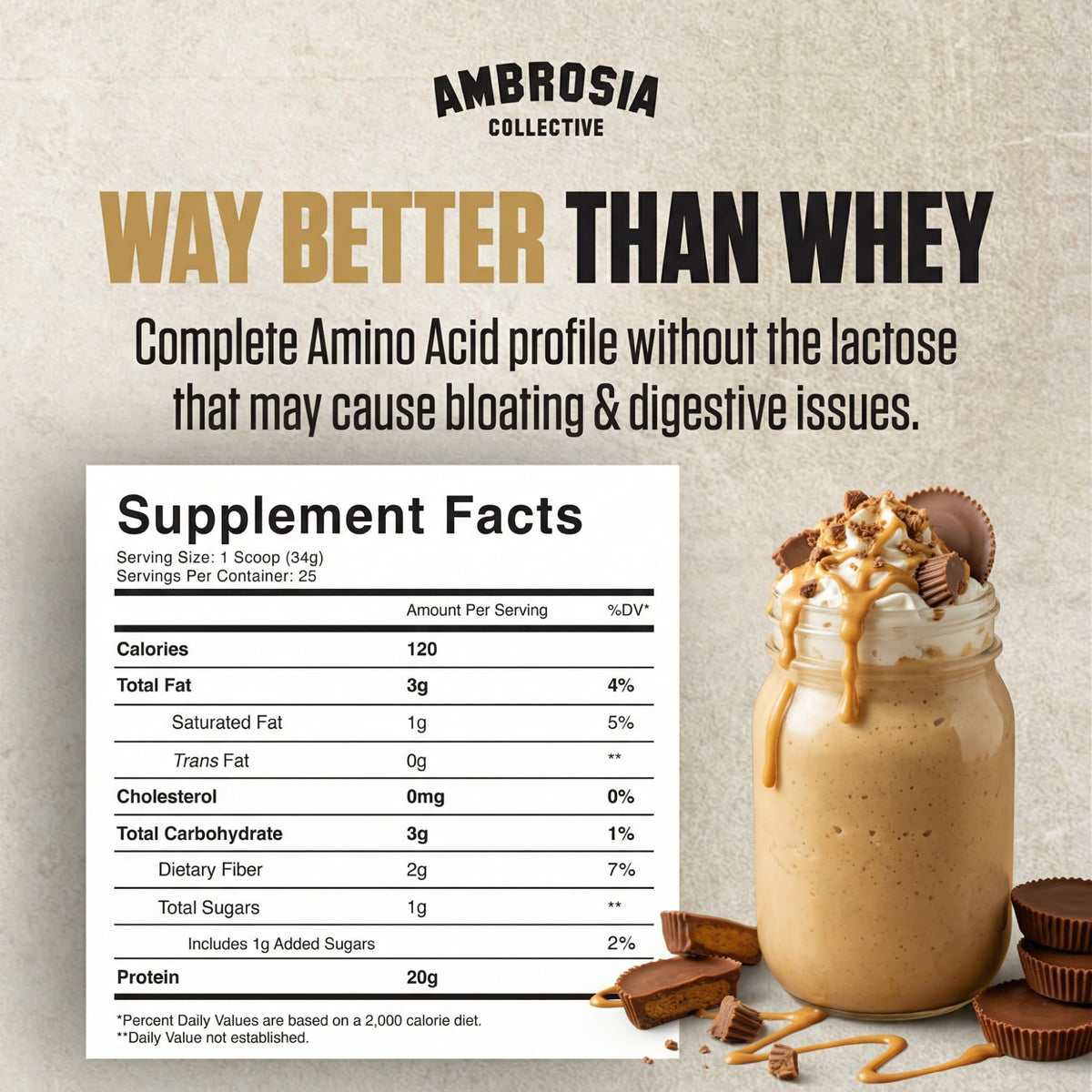 Plant Based Protein Powder 20g | Clean Vegan Pea Protein Powder | Gluten & Dairy Free by Ambrosia – 1.72 Pound (Pack of 1), No Color