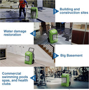 ALORAIR Green / Storm Pro / Storm-Pro-Green-OLD Dehumidifiers