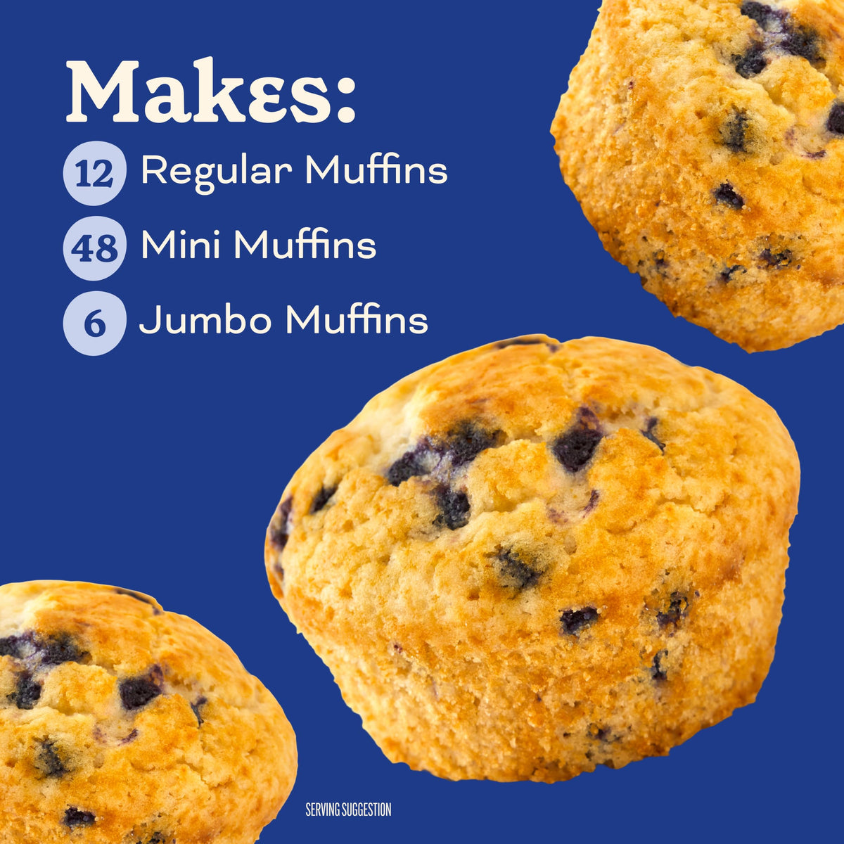 Wild Blueberry Muffin & Quick Bread Mix by Betty Crocker – 16.9 Ounce (Pack of 1), Model BC-WBBMM-1