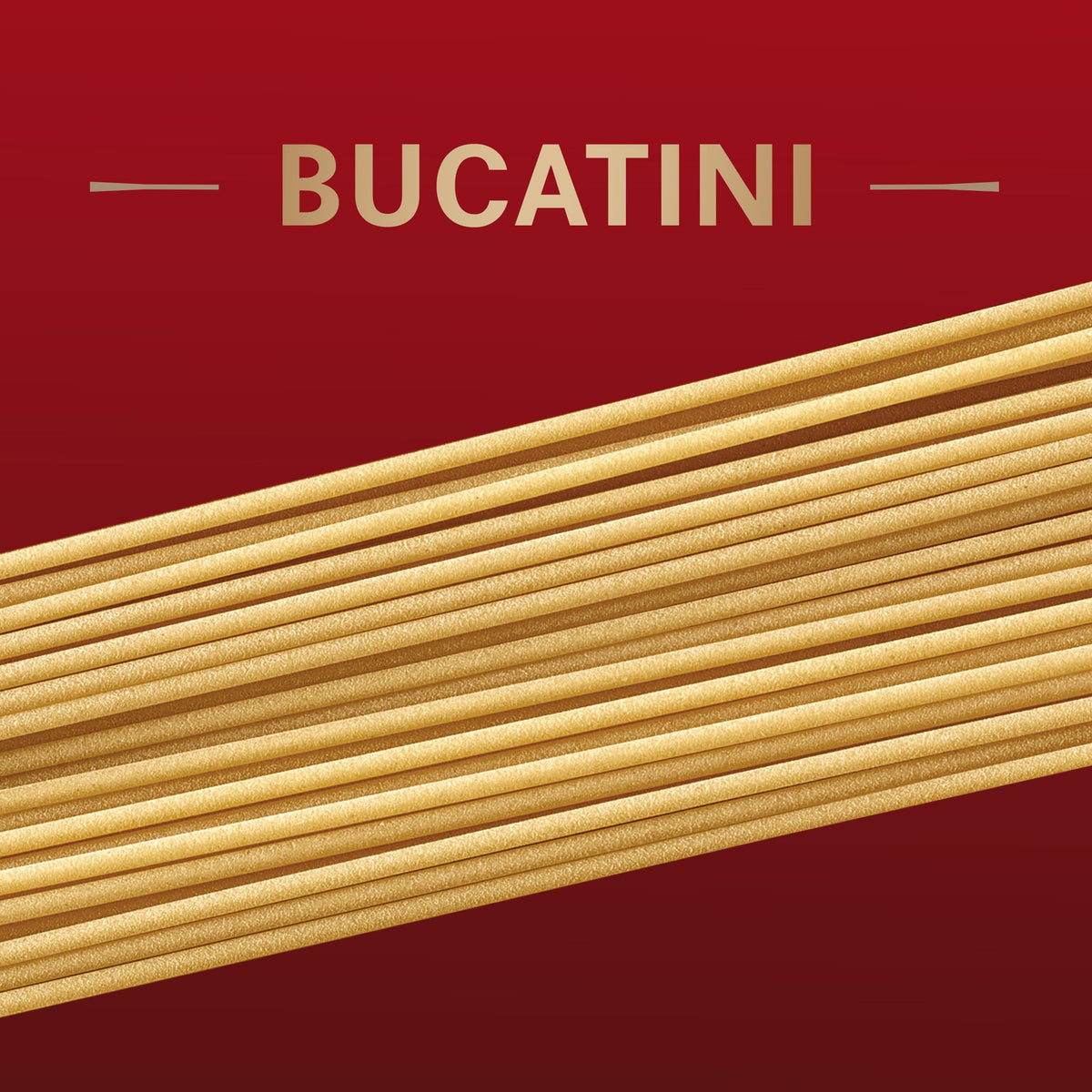 Barilla 16 Ounce (Pack of 1) / Barilla Al Bronzo, Bucatini, 16 oz / 1 Pasta