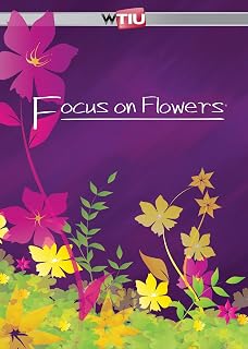 Focus on Flowers