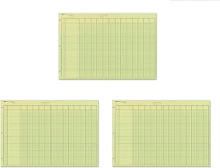 Rediform National Analysis Pad, 13 Columns, Green Paper, 11 x 16.375", 50 Sheets, Sold as 3 Pack (45613)
