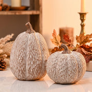 AOMOONOA Resin Pumpkin Set, Brown and White, Set of 2
