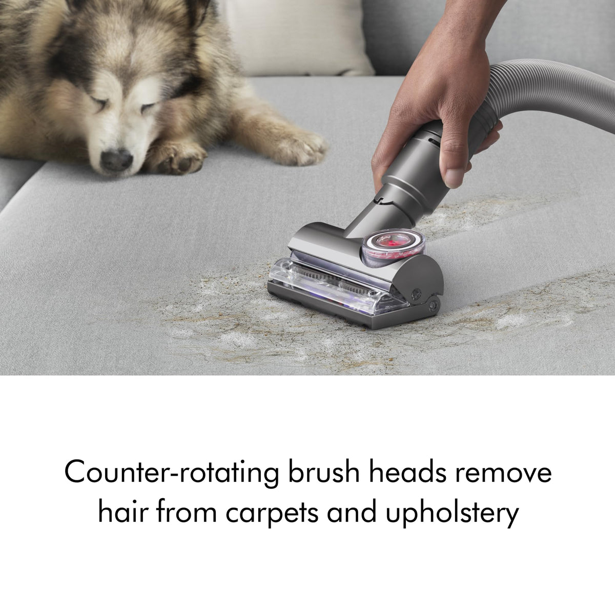 Ball Animal Total Clean Upright Vacuum by Dyson – 0.45 gallons, Blue/Blue, Model 447967-01