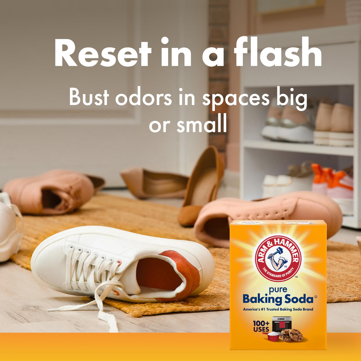 ARM & HAMMER 16 Ounce (Pack of 12) / Baking Soda / 12 Baking Soda