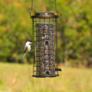 Squirrel Stumper Wild Bird Feeder by Perky-Pet – 6.63W x 5.75D ins., 3 pounds, Metal, Bronze