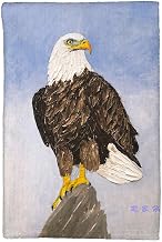 American Eagle Kitchen Towel - 16x25