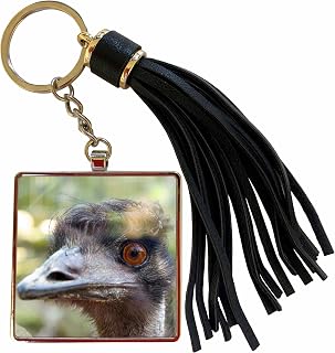 3dRose Emus face, Taronga Zoo, Sydney, NSW, Australia.-AU01 IHO0000 - Inger Hogstrom Tassel Key Chain
