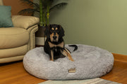 Extra Large by Armarkat – Extra Large, Soft plush, Silver gray, Model C71NHS