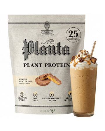 Plant Based Protein Powder 20g | Clean Vegan Pea Protein Powder | Gluten & Dairy Free by Ambrosia – 1.72 Pound (Pack of 1), No Color