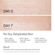 Multi-Vitamin & Hydra Plus Ampoule Serum Concentrate Bundle by BABOR – Commercial Grade