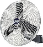 Global Industrial 30" Diameter Commercial Wall Mount Fan, Fixed & Oscillating