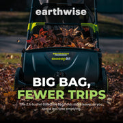 21-Inch Width Leaf & Grass Push Lawn Sweeper by Earthwise – 21" Width, Pine, Black, Model LSW70021