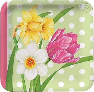 Creative Converting Mens Polka Dot Garden Square Dinner Plates