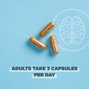 Regenerative Organic Certified Focused Brain Capsules by Ancient Nutrition – 90 Count (Pack of 1), Model ROC0769-SL-FBA