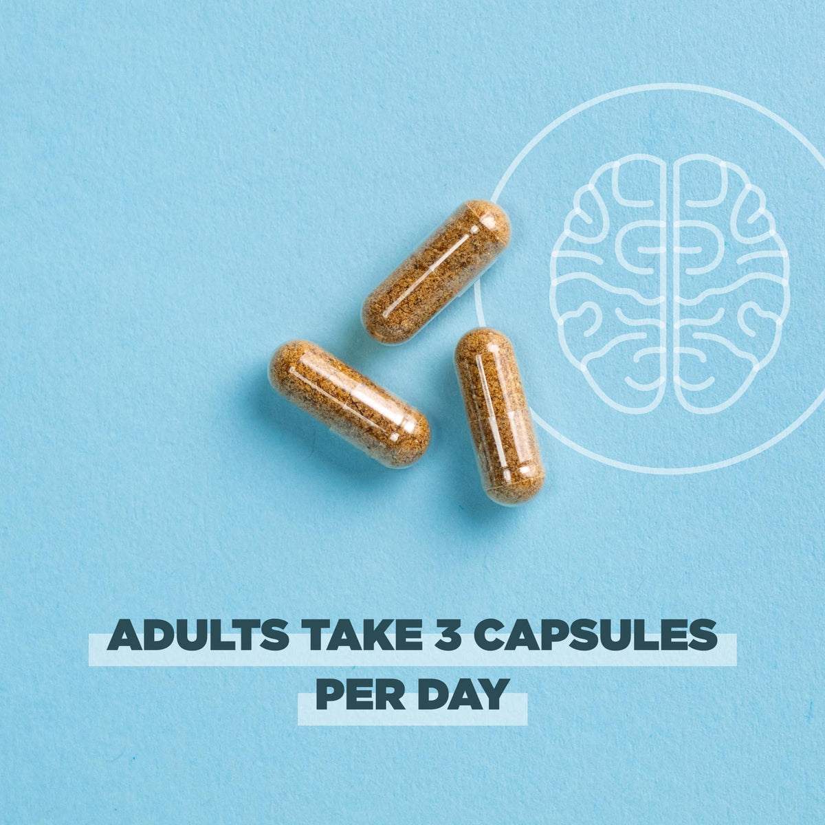 Regenerative Organic Certified Focused Brain Capsules by Ancient Nutrition – 90 Count (Pack of 1), Model ROC0769-SL-FBA