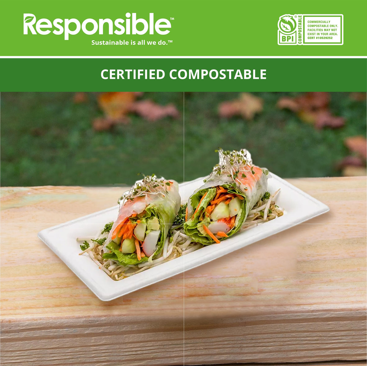 Responsible Products 10 x 5 Inch (500 count) / Classic White / Casual Plates