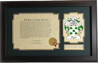 Ojeda - Coat of Arms and Last Name History, 14x22 Inches Matted and Framed