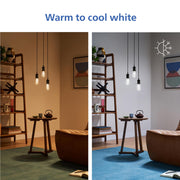 PHILIPS ST19 / Multicolor + Tunable White / 1 LED Bulbs