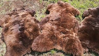 Top Eco Lambskin Sheepskin Natural Brown S - XXL (30 cm Round)