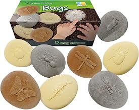 Yellow Door YUS1042 Let's Investigate Bugs Stone (Pack of 8)