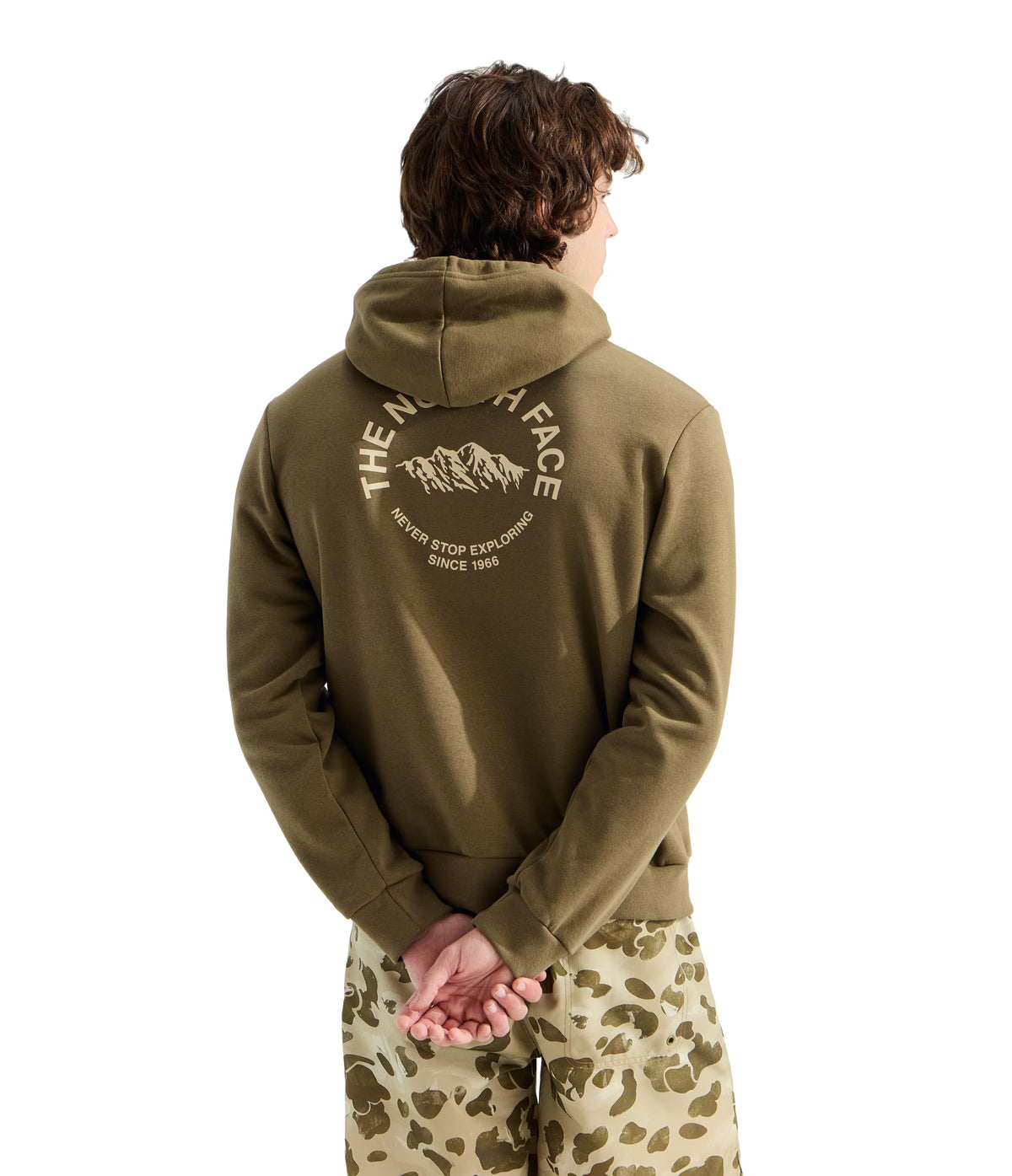 Men's Evolution TNF NSE Regular Hoodie by The North Face – Small, Cotton Blend, Caraway Seed, Model NF0A8JQ2