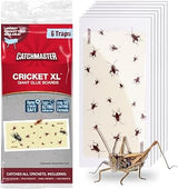 Catchmaster Cricket XL Giant Glue Boards 6-Pk, Adhesive Bug Catcher Cricket Traps Indoor, Sticky Trap for Inside Your Home, Bulk Insect Killer, Insect Traps for House & Garage, Pest Control for Home