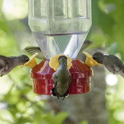 Lantern Hummingbird Feeder- 18 oz by Perky-Pet – 1 Count (Pack of 1), 18 ounces, Plastic, Red