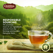 Celestial Seasonings Sleepytime / 20 Count (Pack of 2) / ... Herbal