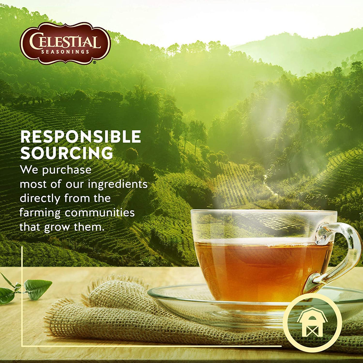Celestial Seasonings Sleepytime / 20 Count (Pack of 2) / ... Herbal
