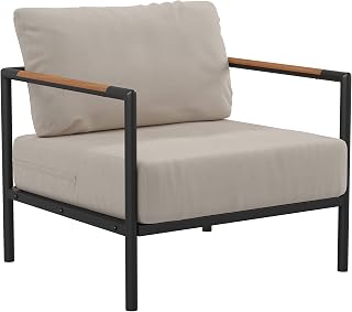 Taylor & Logan Amy Black Metal Indoor/Outdoor Patio Chair with Teak Accented Arms and Beige Cushions