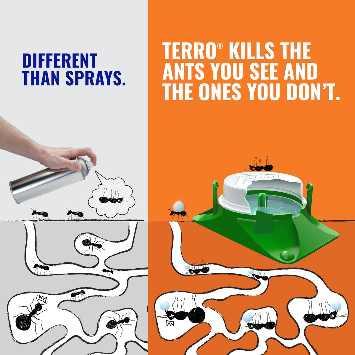 2-Pack Outdoor Liquid Ant Baits-12 Traps by Terro – 12 Bait Stations, Clear, Model T1806SR