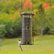 Squirrel Stumper Wild Bird Feeder by Perky-Pet – 6.63W x 5.75D ins., 3 pounds, Metal, Bronze