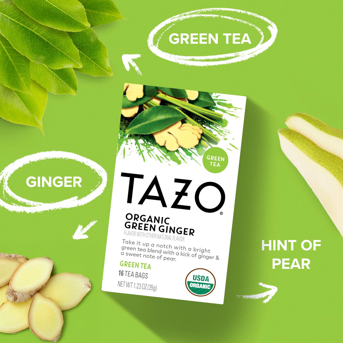 TAZO 16 Count (Pack of 1) / Green Ginger / green Herbal