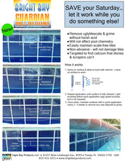 Pool & Tile Cleaner by Guardian – 4 Count (Pack of 1), Stone, Model P1128CS