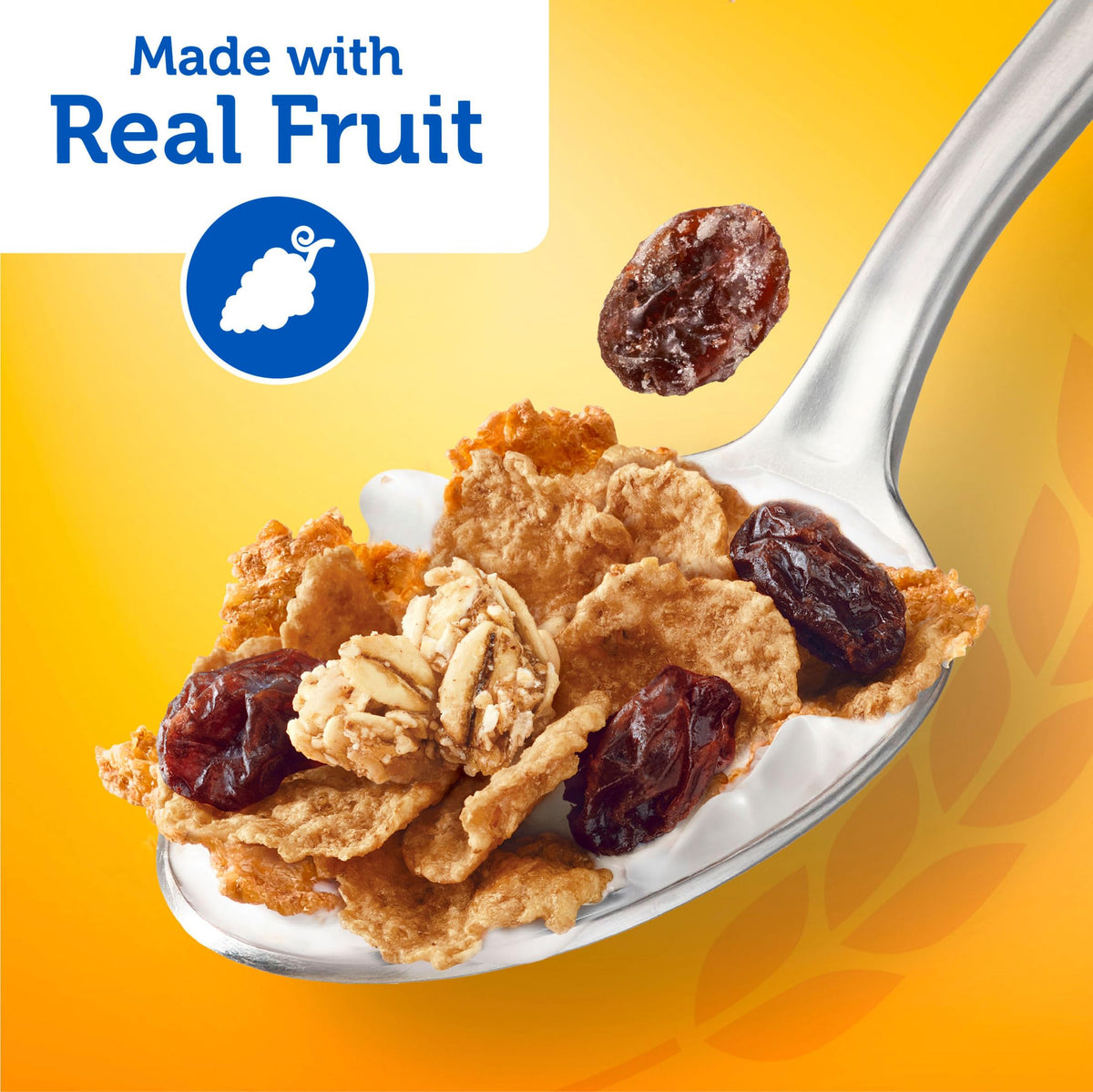 Kellogg's Raisin Bran 2.8 Ounce (Pack of 24) / 12 / 24 Cold Cereal