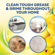 Lysol 90 Fl Oz (Pack of 1) / Lemon & Sunflower / 1 All-Purpose Cleaners