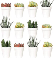 Youngever 24 Pack 2 Inch Mini Plastic Planters, Indoor Flower Plant Pots, White Gardening Pot with Drainage - NO Plant Included (Classic)