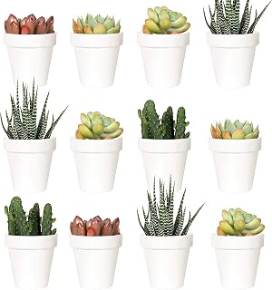 Youngever 24 Pack 2 Inch Mini Plastic Planters, Indoor Flower Plant Pots, White Gardening Pot with Drainage - NO Plant Included (Classic)