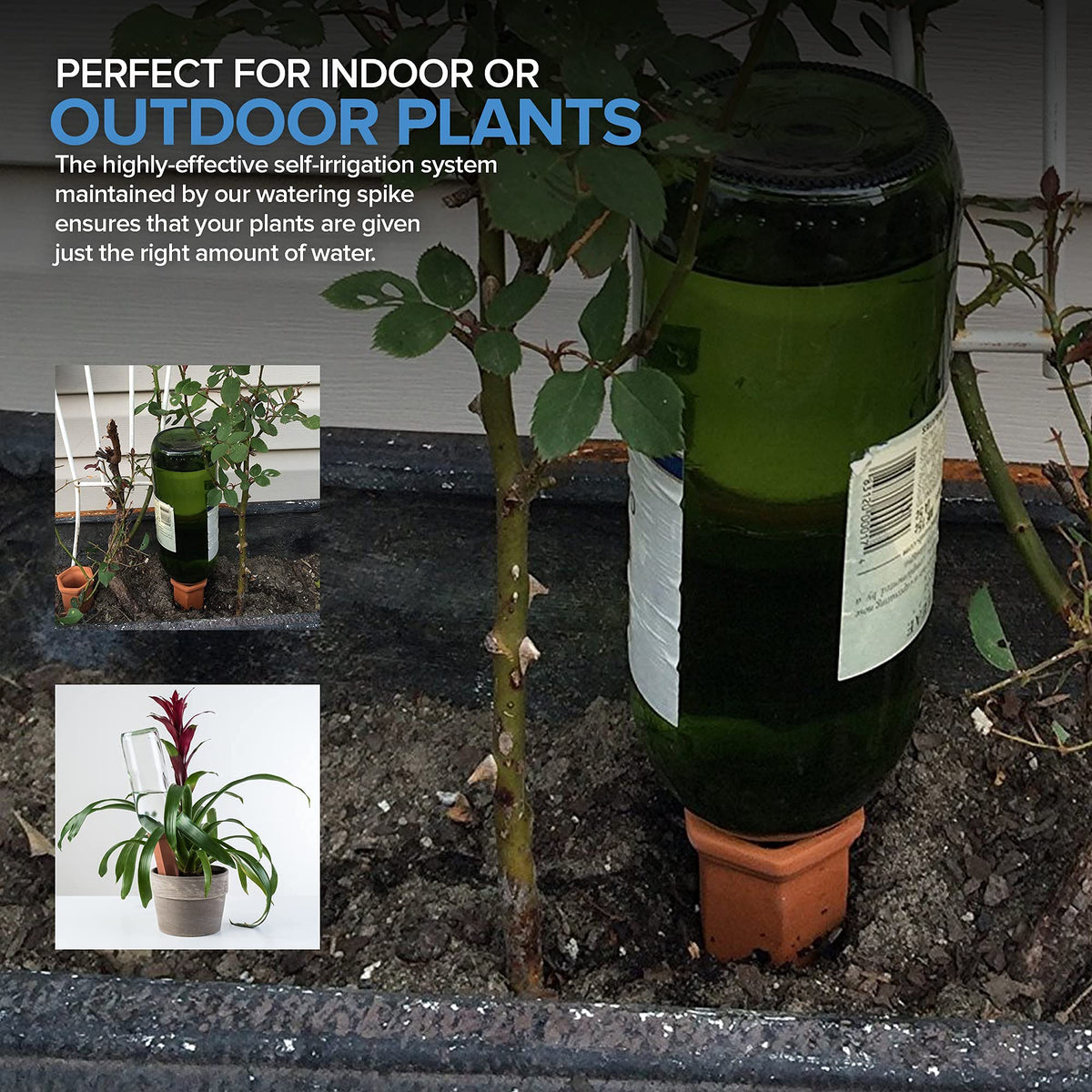 Modern Innovations 10 Pack / Terracotta / Tube Categories