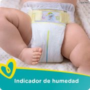 Swadlers Size by Pampers – Size 5, Multi, Model 10037000963780