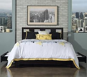 Modus Furniture Solid-Wood 4-Drawer Side Storage Bed, Queen (U.S. Standard), Nevis-Espresso