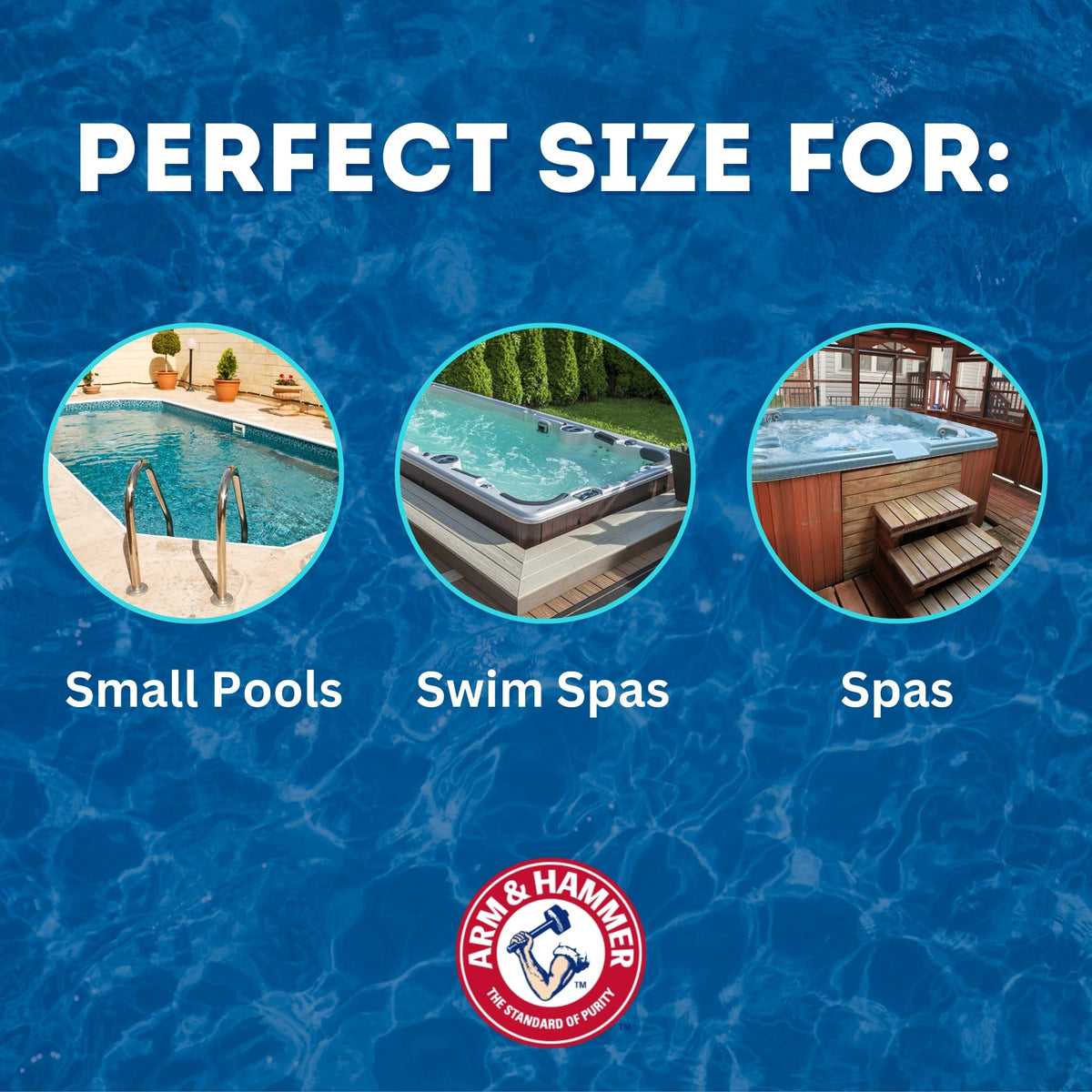 pH Boost Professional Pool Care by Arm & Hammer – Pack of 6, Model 033200150015